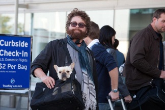 Zach Galifianakis en "Due Date"